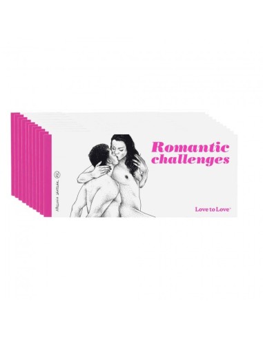 Romantic challenges checkbook by Apollonia Saintclair