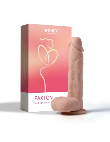 Consolador realístico vibrador y giratorio Paxton con app 21 cms - Silla